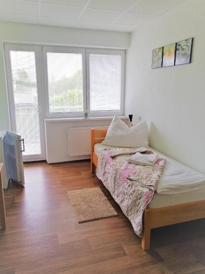 Penzion Adriana Nové Mesto nad Váhom エクステリア 写真