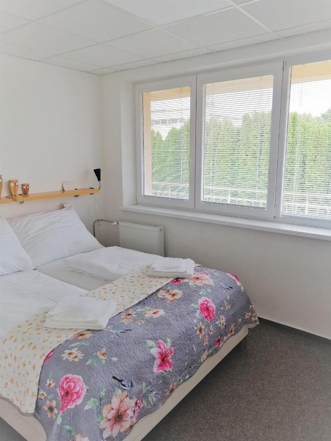Penzion Adriana Nové Mesto nad Váhom エクステリア 写真