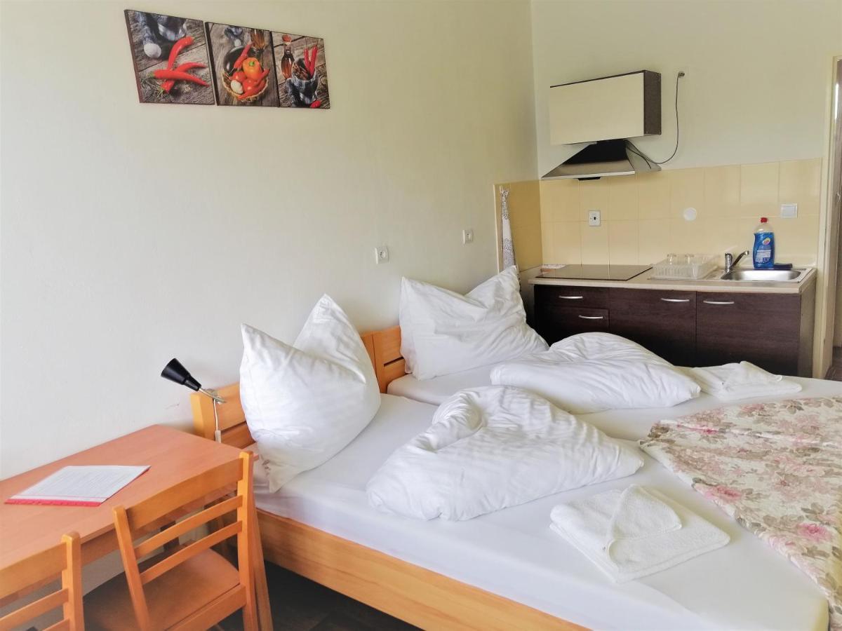Penzion Adriana Nové Mesto nad Váhom エクステリア 写真